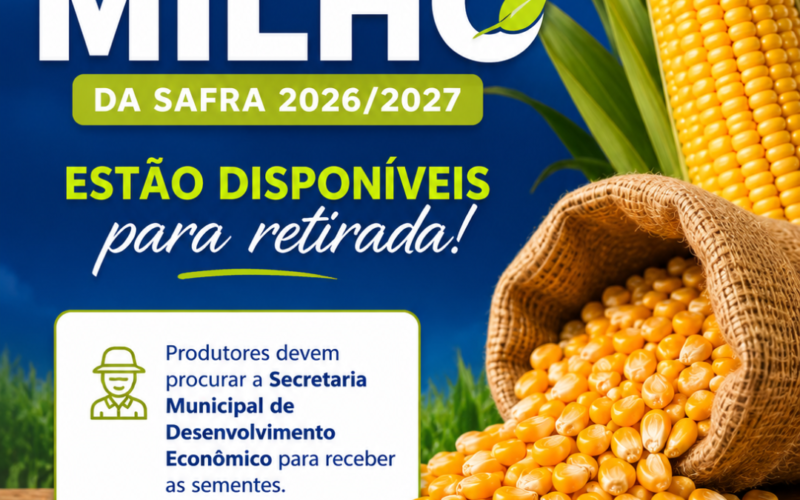 Sementes de milho para retirada