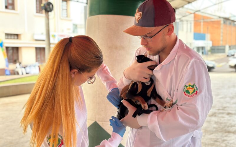 Campanha de vacinação de cães e gatos (1)
